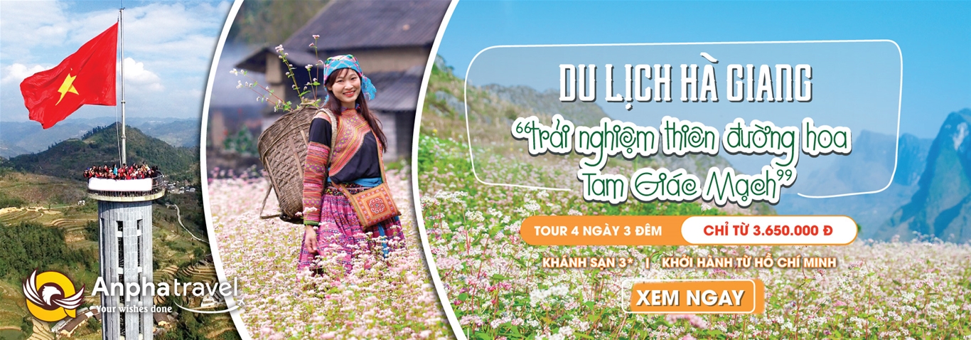 top 10 công ty du lịch tại hải phòng​